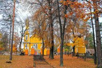Marcinkonys Saulė Prušinskaitė